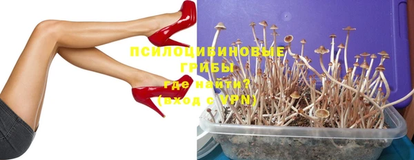 2c-b Зеленодольск