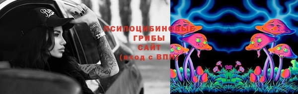 тгк Саяногорск