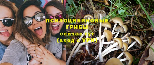эйфоретик Зеленокумск