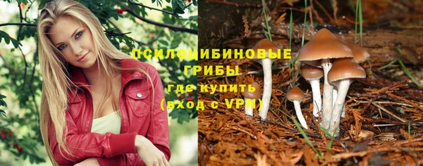 mdma Зерноград