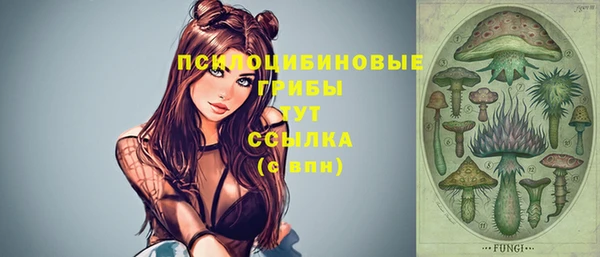 mdma Зерноград